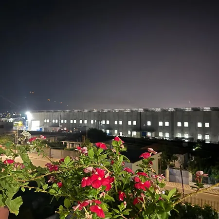With Garden View 招待所 *