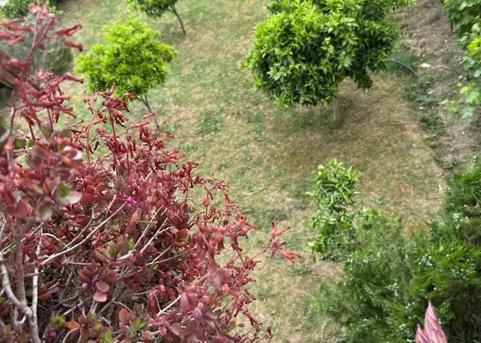 With Garden View Kamëz